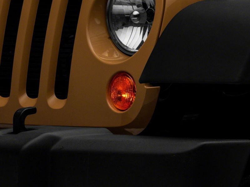 Photo - Close Up