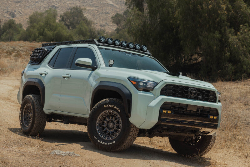 Photo - Close Up